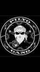 (POG) PILYO GANG