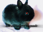 ~kawaiiHailey squads~