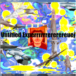 Untitled Experrrrrrererereuej" '  . .  .. .. . ..