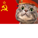The Union of Soviet Socialist Cat Republics