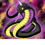 the mamba world