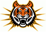 Roblox AAA Bengals