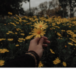 -simple-