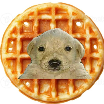 Muskets n' Waffles