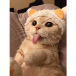 乞丐不要來