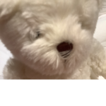 XxSofiaplays_