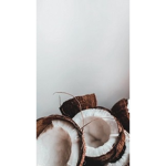Coconut clothing by Lara