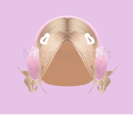 -Mayas Clothing Store-