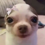 luza es bonita bye Group Thumbnail