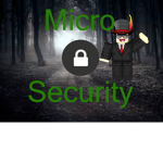 Micro Security