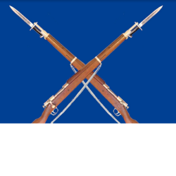 Combat Zone