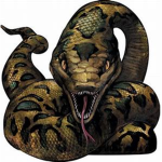 The Order of the Nagini