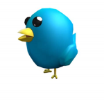 #Teh Bird Squad Group