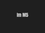 IMM5