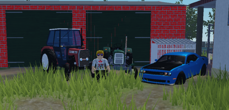 Polish Village 2009 V2 screenshot 1