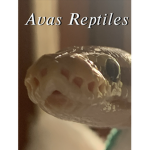 Avas_Reptiles