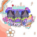 Blxssomz Clxset