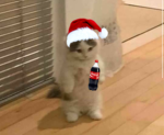 Roblox islands friends group