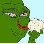 ONION STUDIO