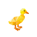 The Official Ducks United Group