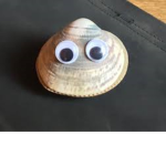 The Jam Clams