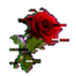 red void .-.