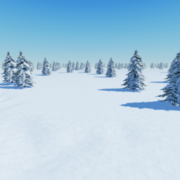 Snow