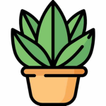 Plant united :)
