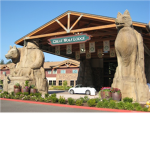 The great wolf lodge