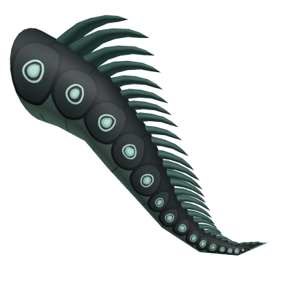 Night Dragon Tail (Slate Moss)