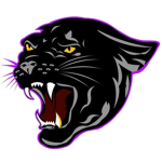 Cheetah Squad (CS)