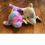 DOLPHINS ARE MY WORLD!