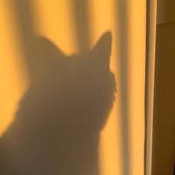 💛
