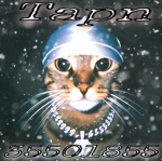 TAPN ; FG