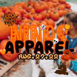 - ninas apparel-