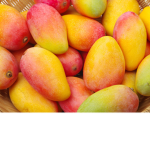 Die Loste Mango Gruppe