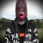 Mlg Server