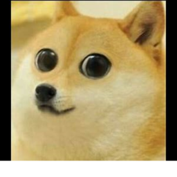 Doge Restraunt