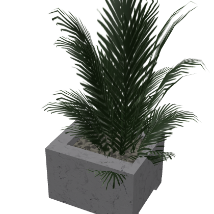 Plant Decoration