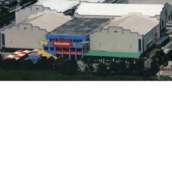 Survive The Family Pig Nickelodeon Version