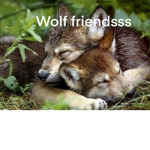 Wolf friendsss