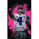 Dallas cowboy fans are the best