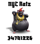 NYC Ratz