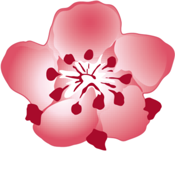 china airlines
