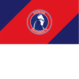 VNL | Meadowbank Stadium