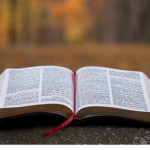 Bible talk