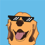 Pog Dog Official