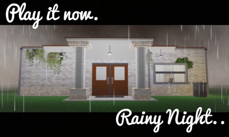 Regennacht (Schaufenster)