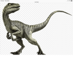 #Raptor gang
