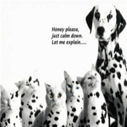 Cats and Dog Roblox decal